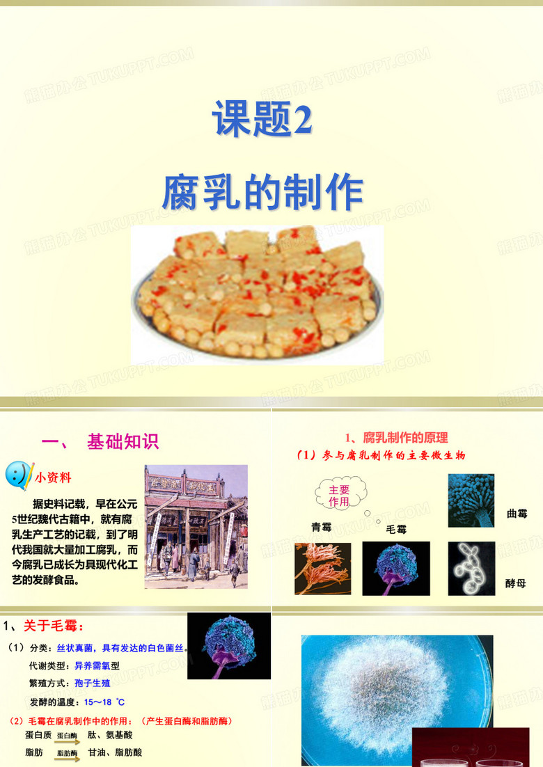 2腐乳的制作