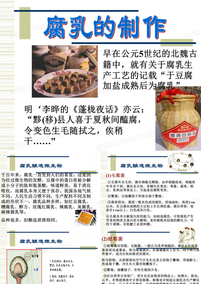 腐乳的制作1