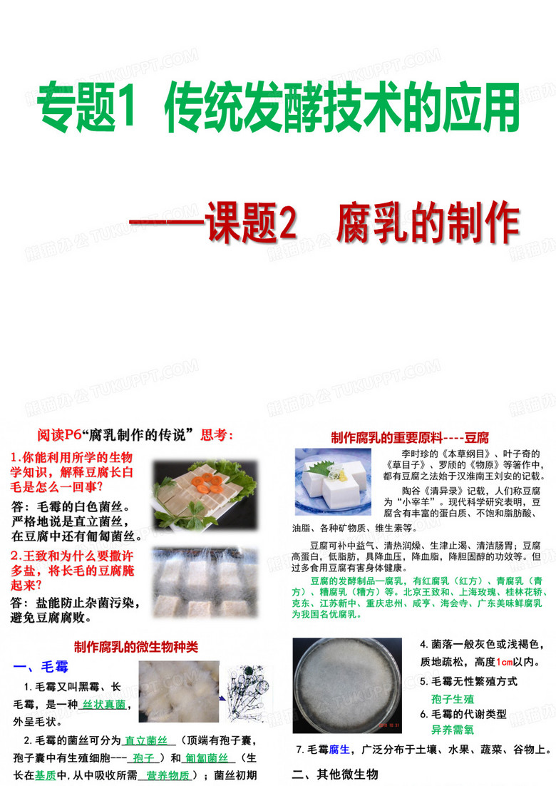 腐乳的制作(公开课)