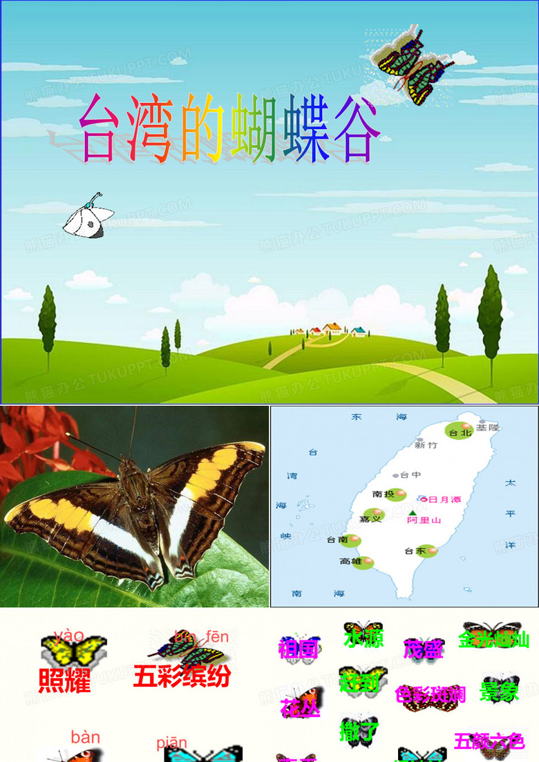 19 台湾的蝴蝶谷
