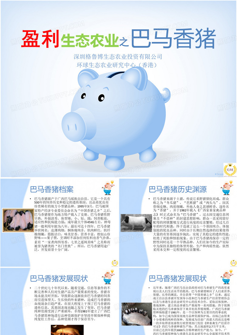 巴马香猪培训资料