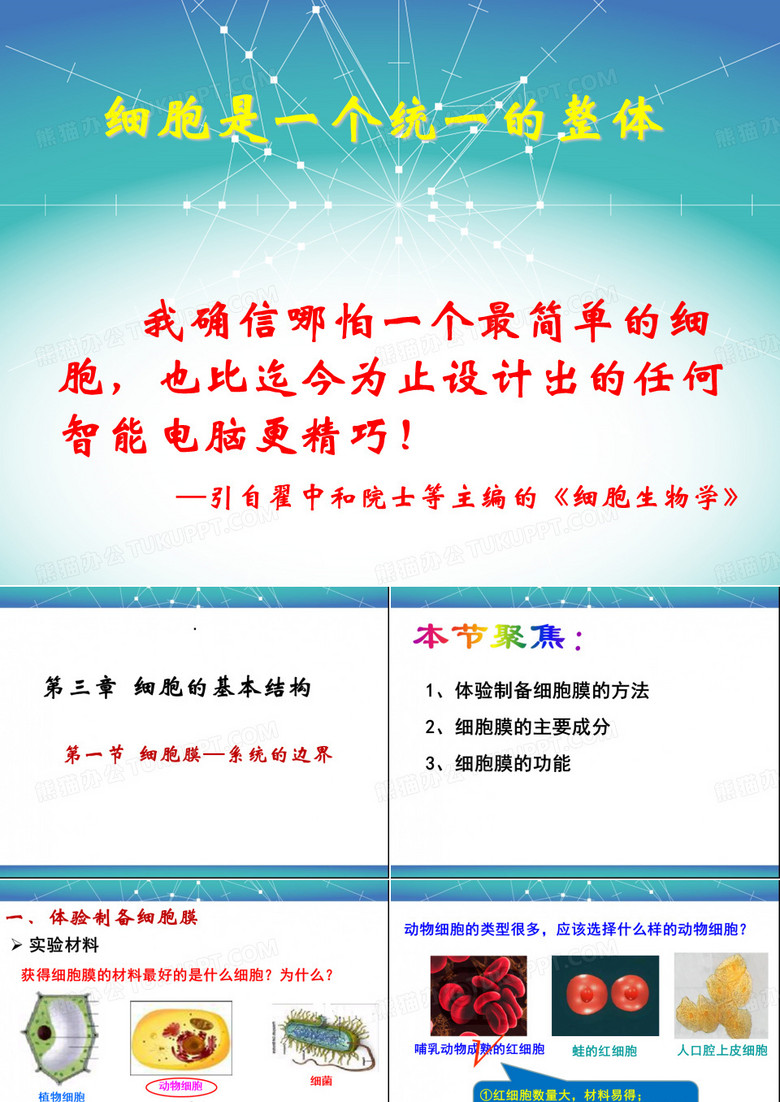细胞膜——系统的边界