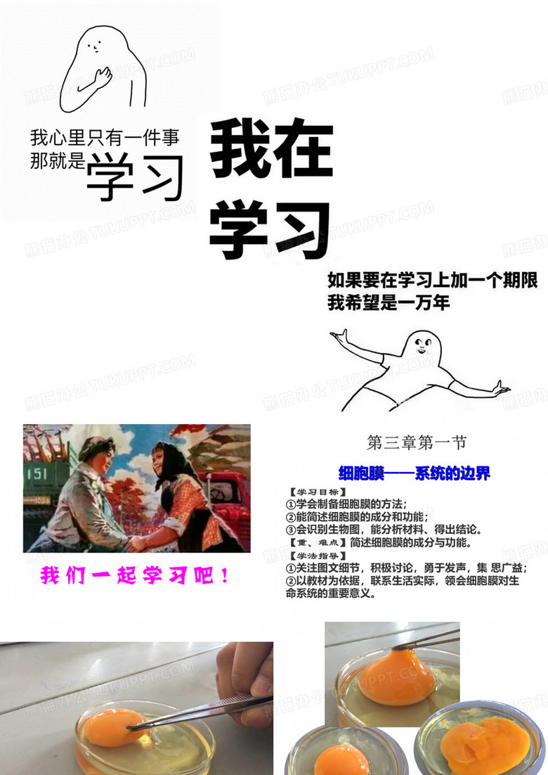 细胞膜-系统的边界