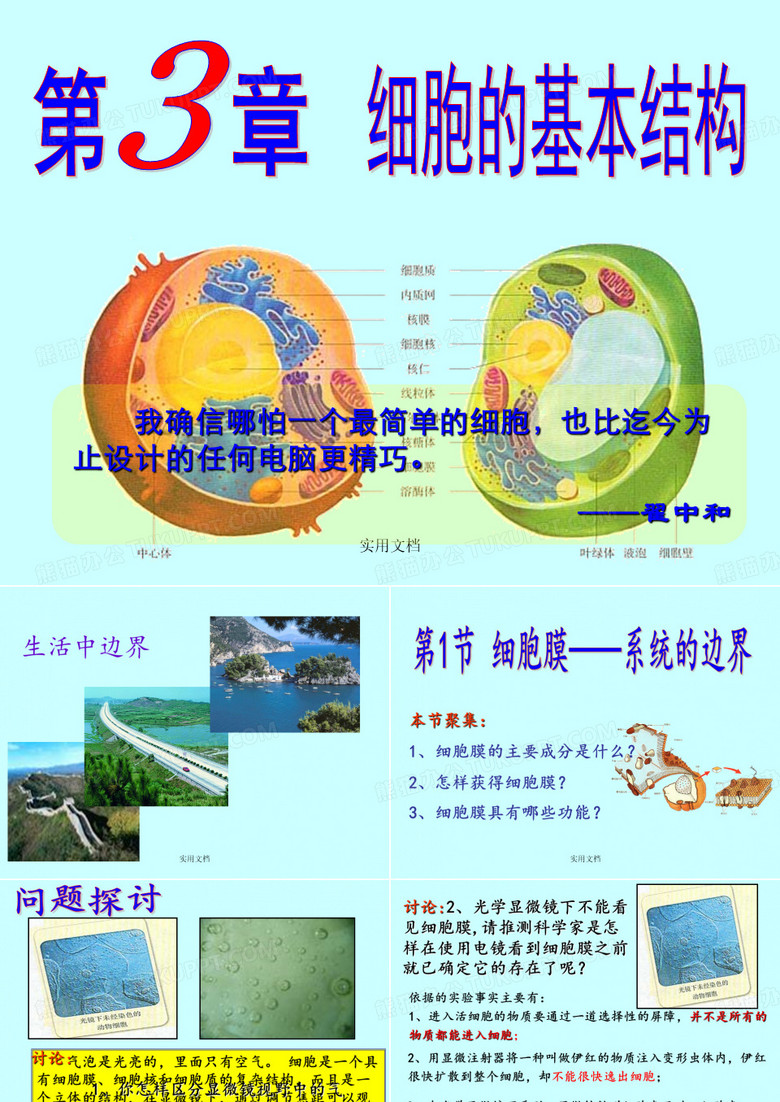 细胞膜——系统的边界