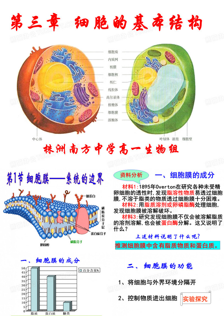 细胞膜系统的边界