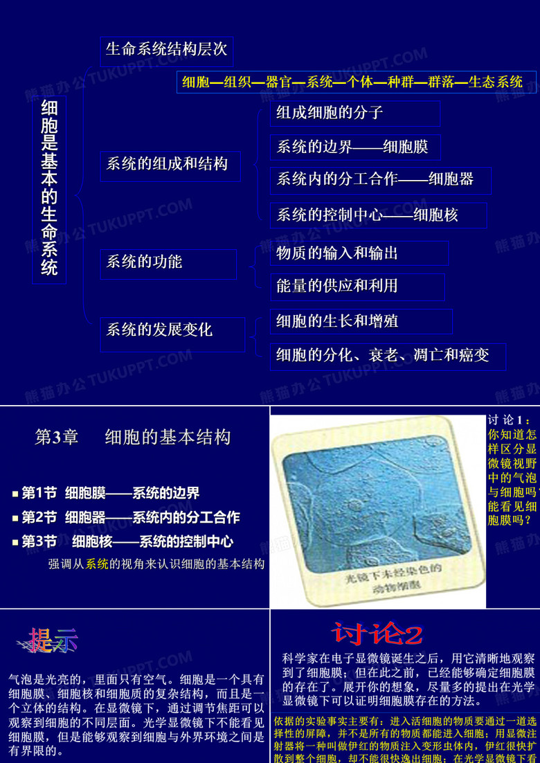 细胞膜———系统的边界
