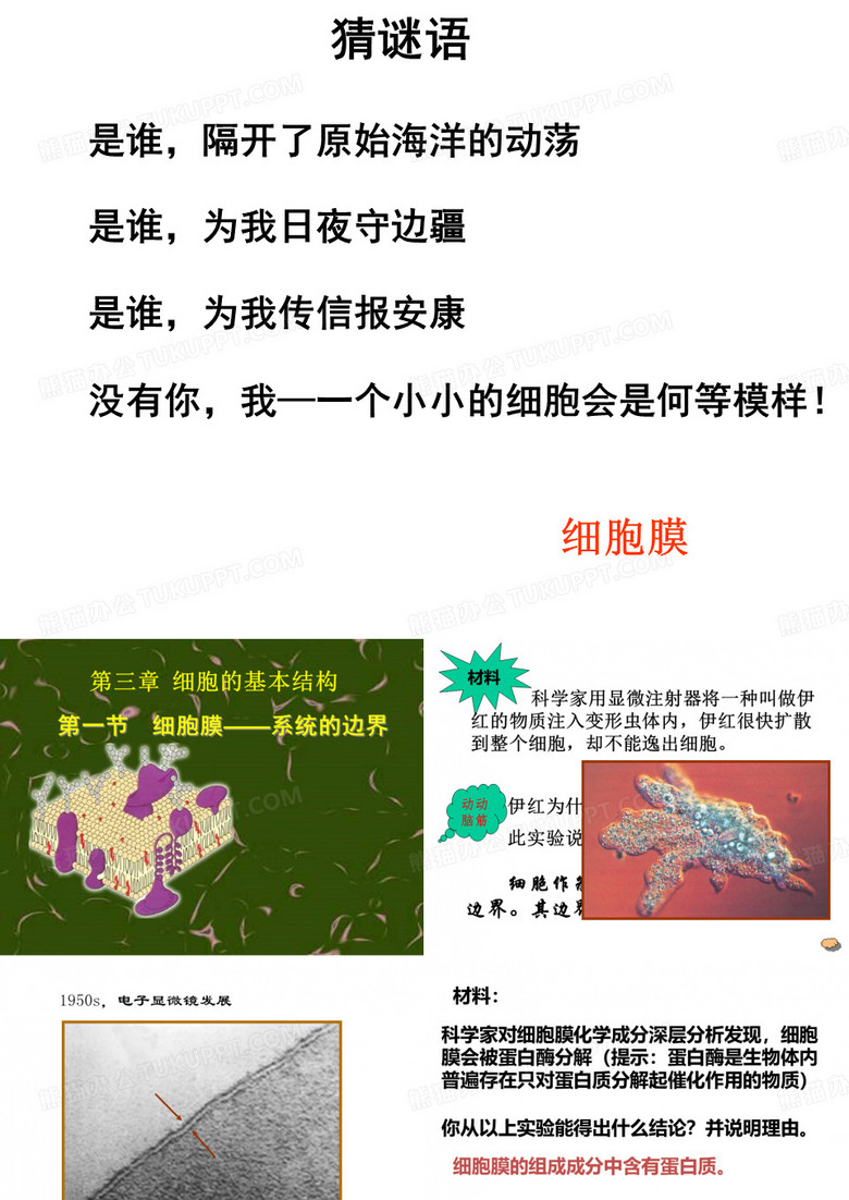 -细胞膜：系统的边界