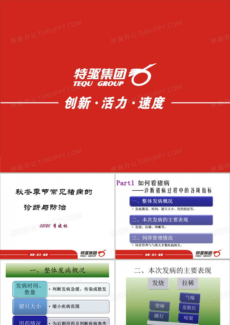 猪病案例