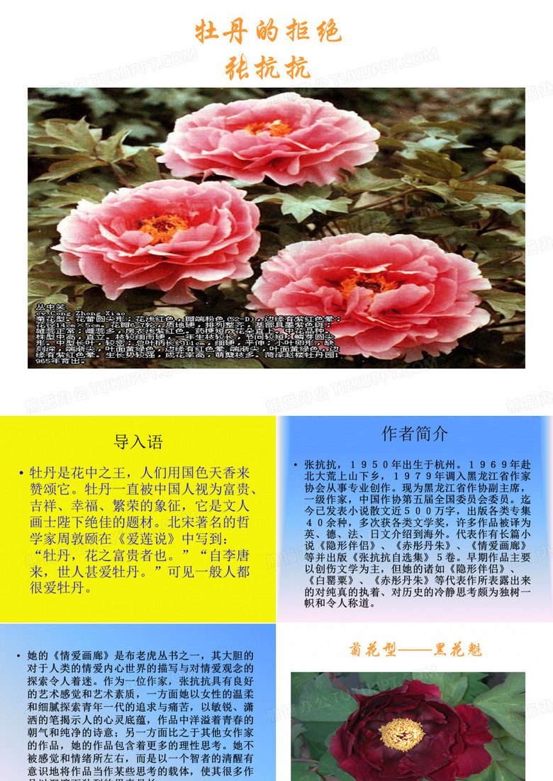 《牡丹的拒绝》解读