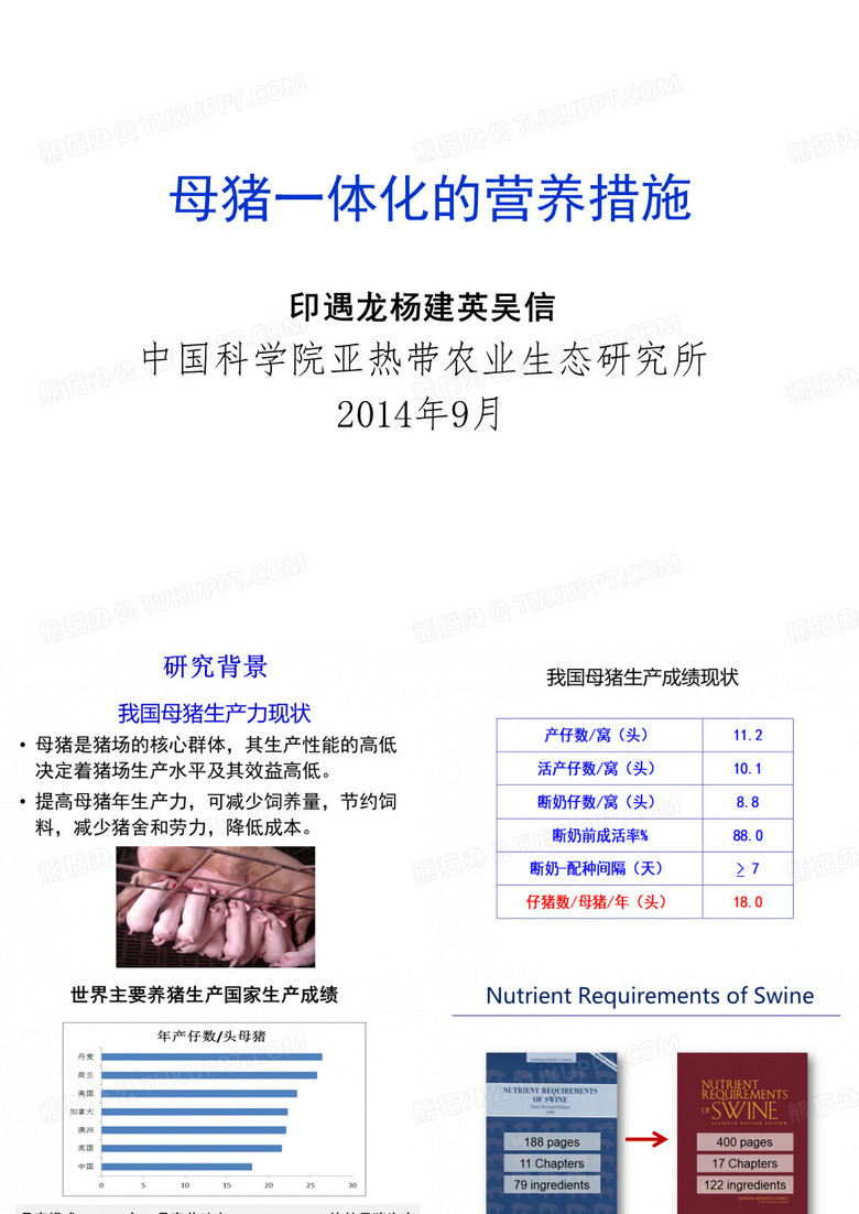 母猪营养