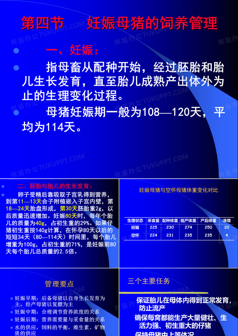 妊娠母猪
