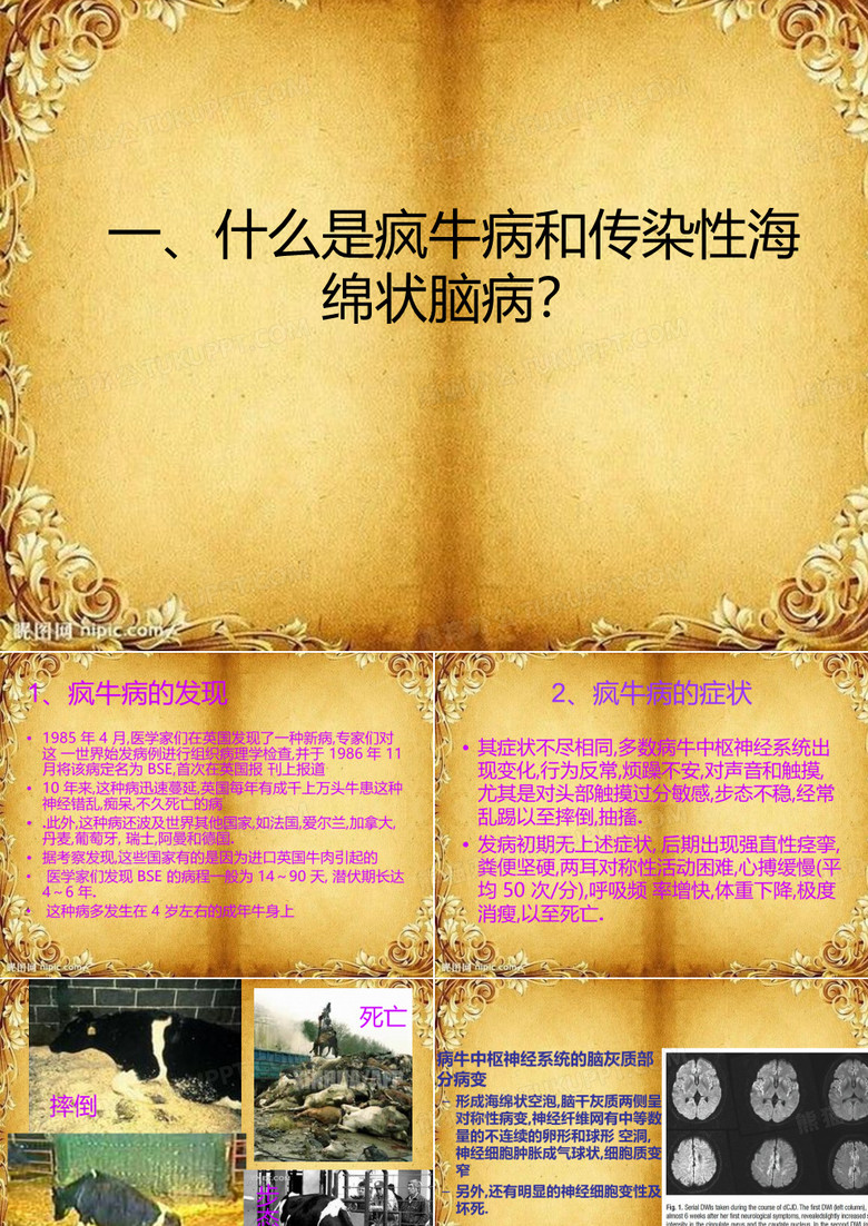 疯牛病