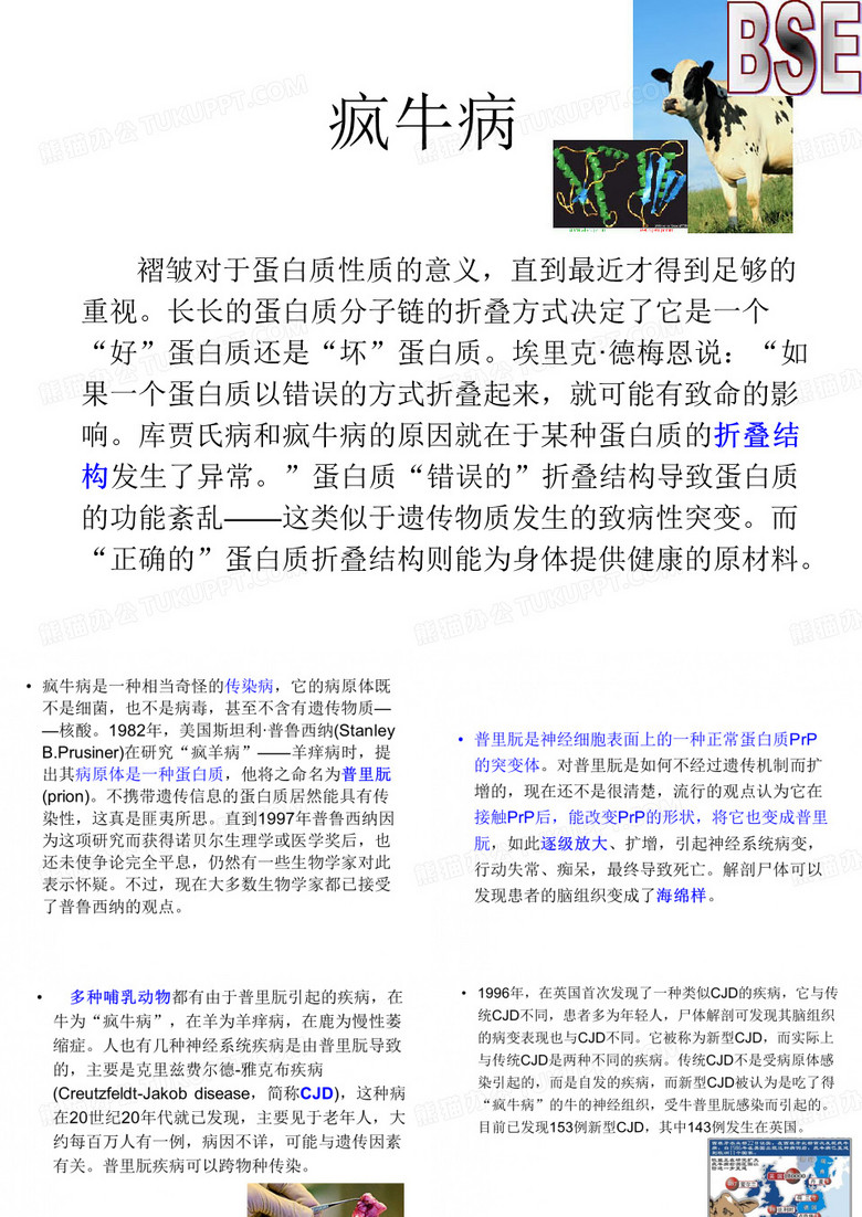 疯牛病