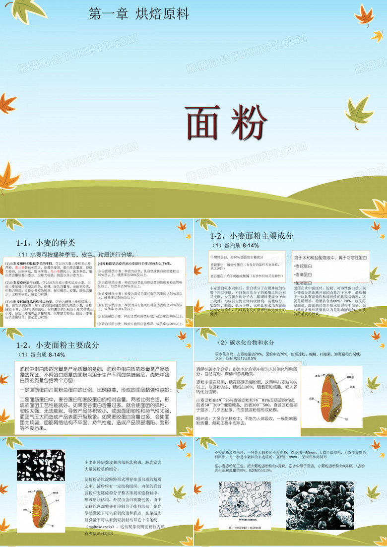 面粉基础知识