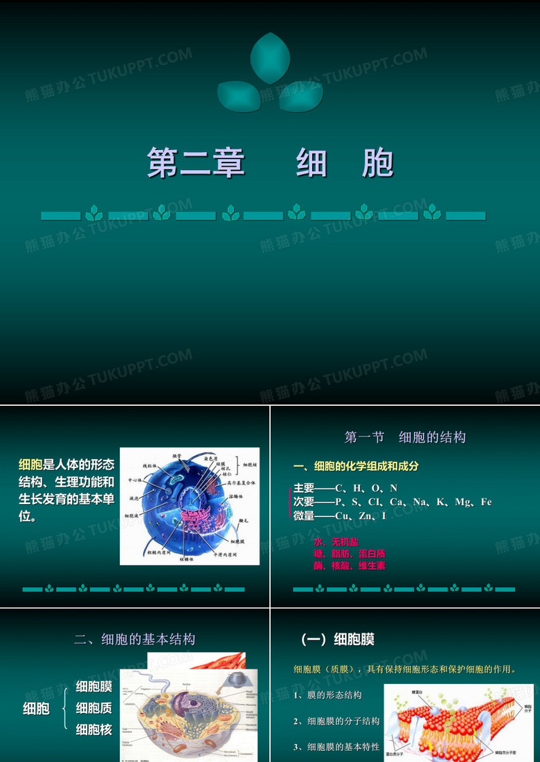 细胞学ppt