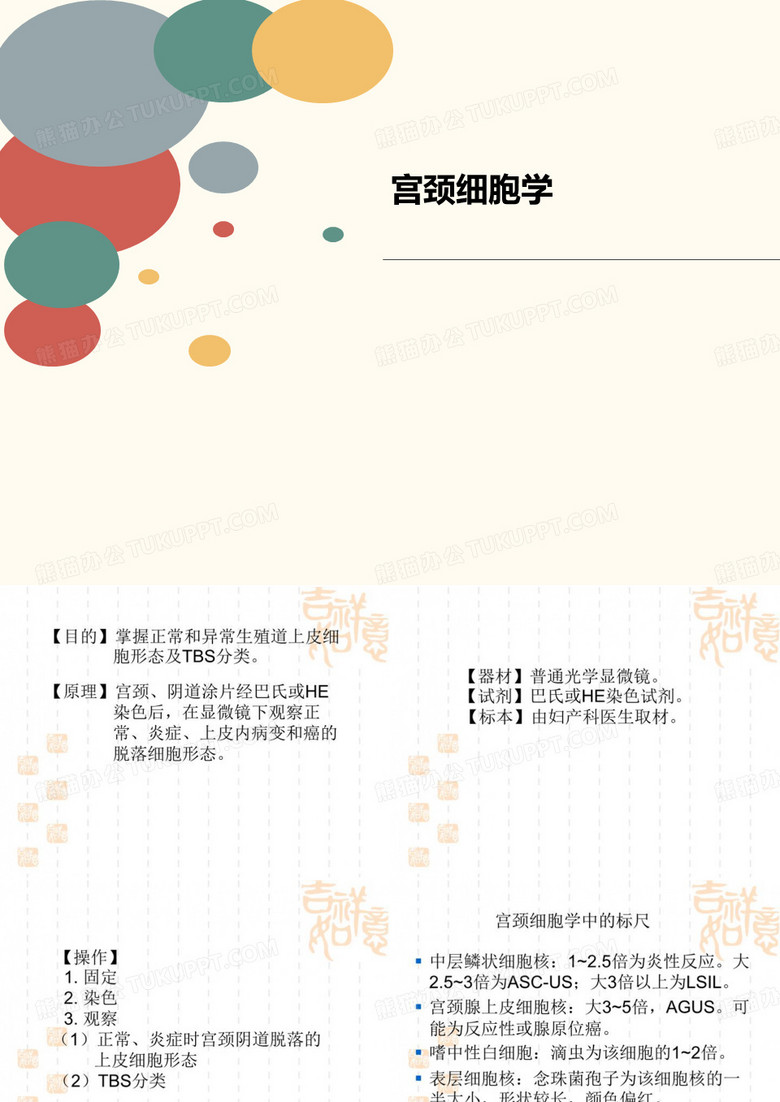 宫颈细胞学