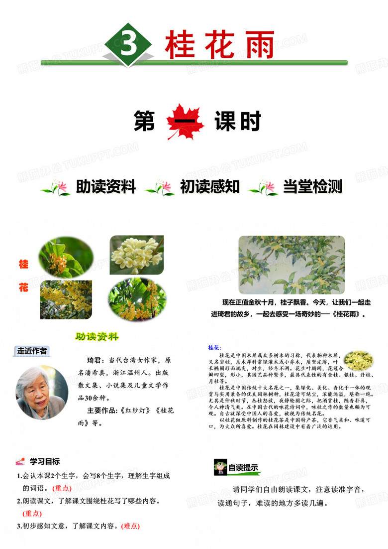 部编版桂花雨课件完美版