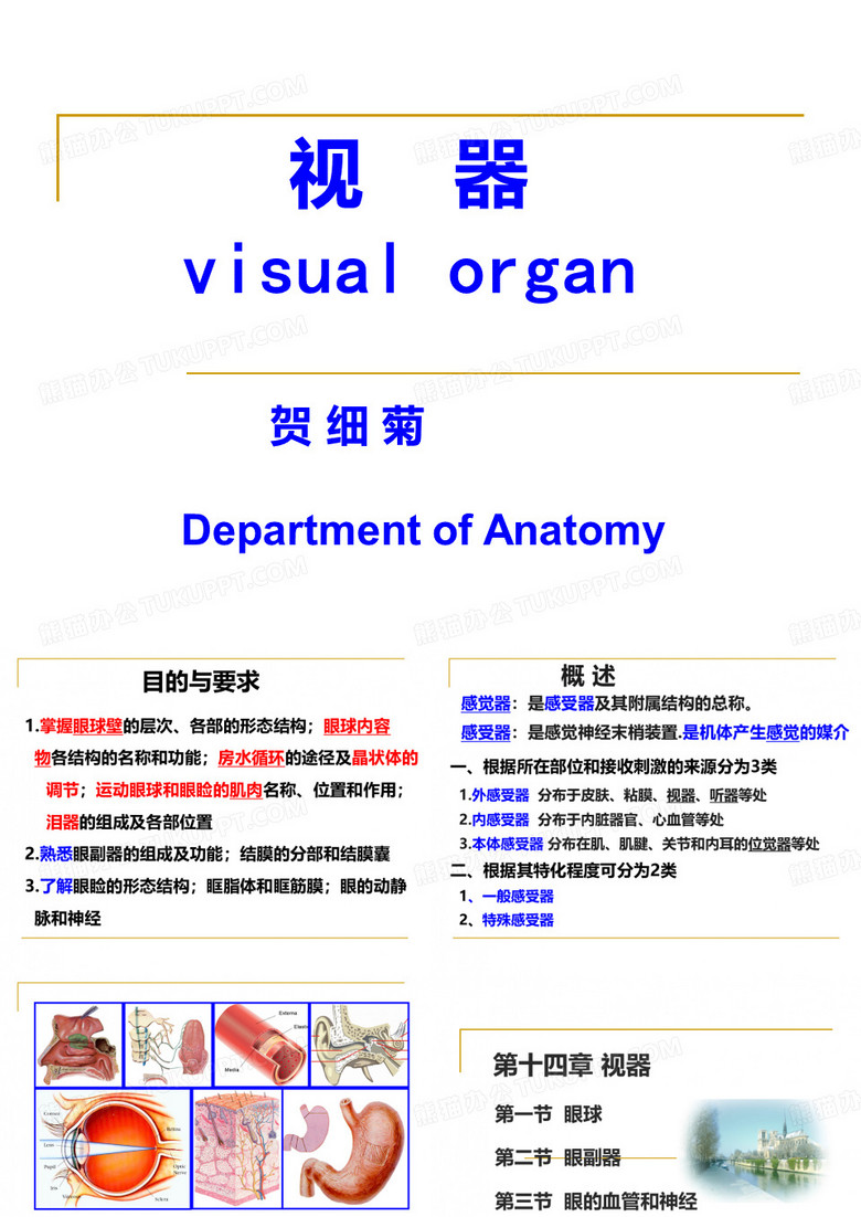 视器