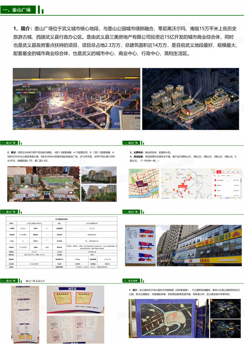 市调报告