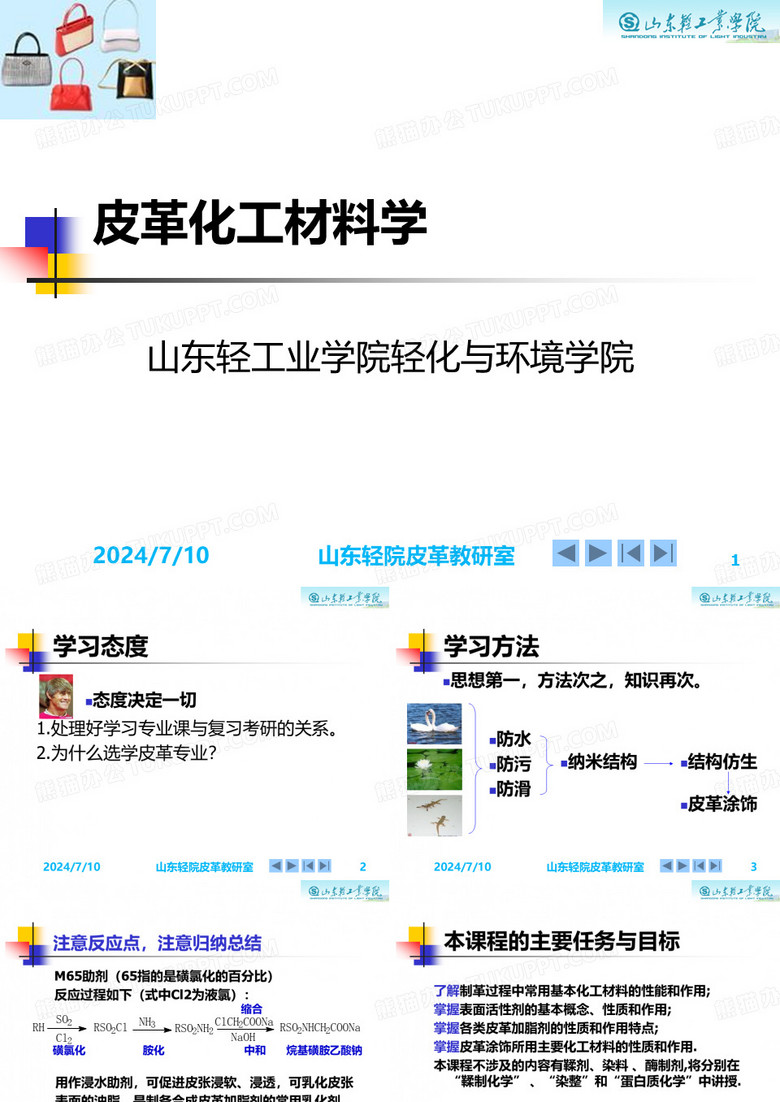 皮革化工材料学