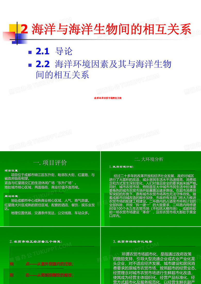 成都红星农贸市场策划方案