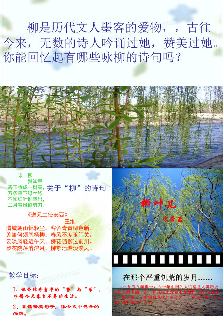 柳叶儿ppt横屏