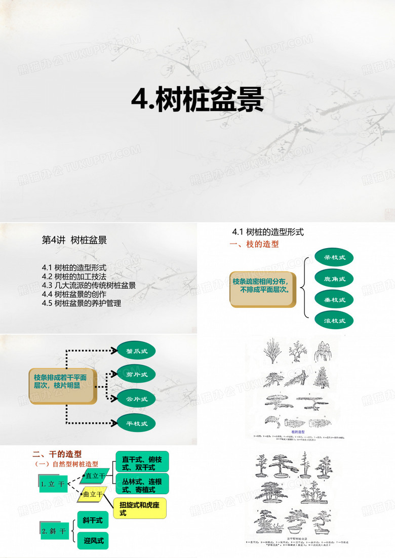 盆景艺术 四 树桩盆景