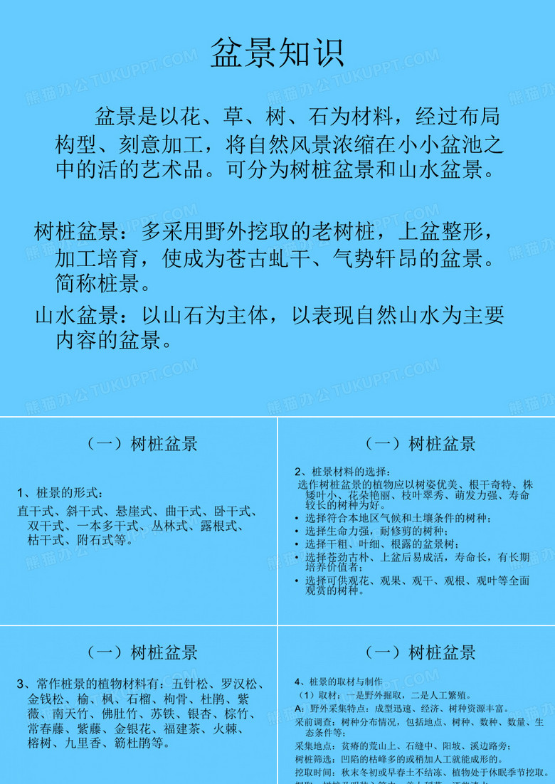 盆景知识