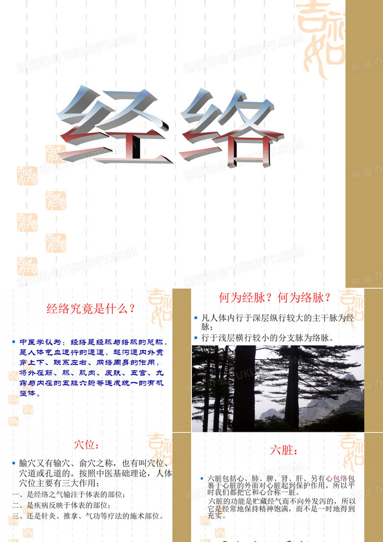 脊椎与健康