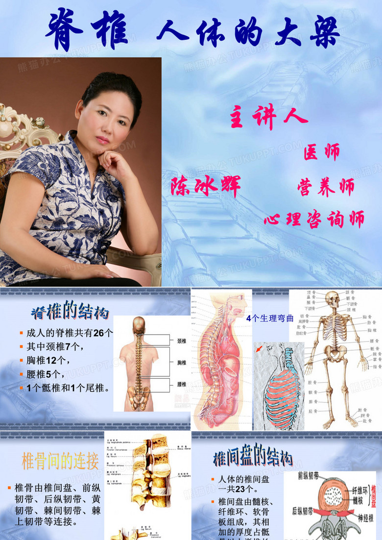 脊椎  人体的大梁