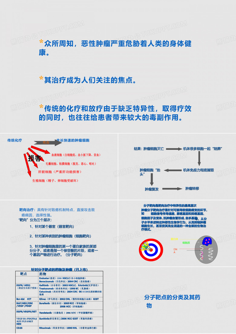 靶向药物治疗