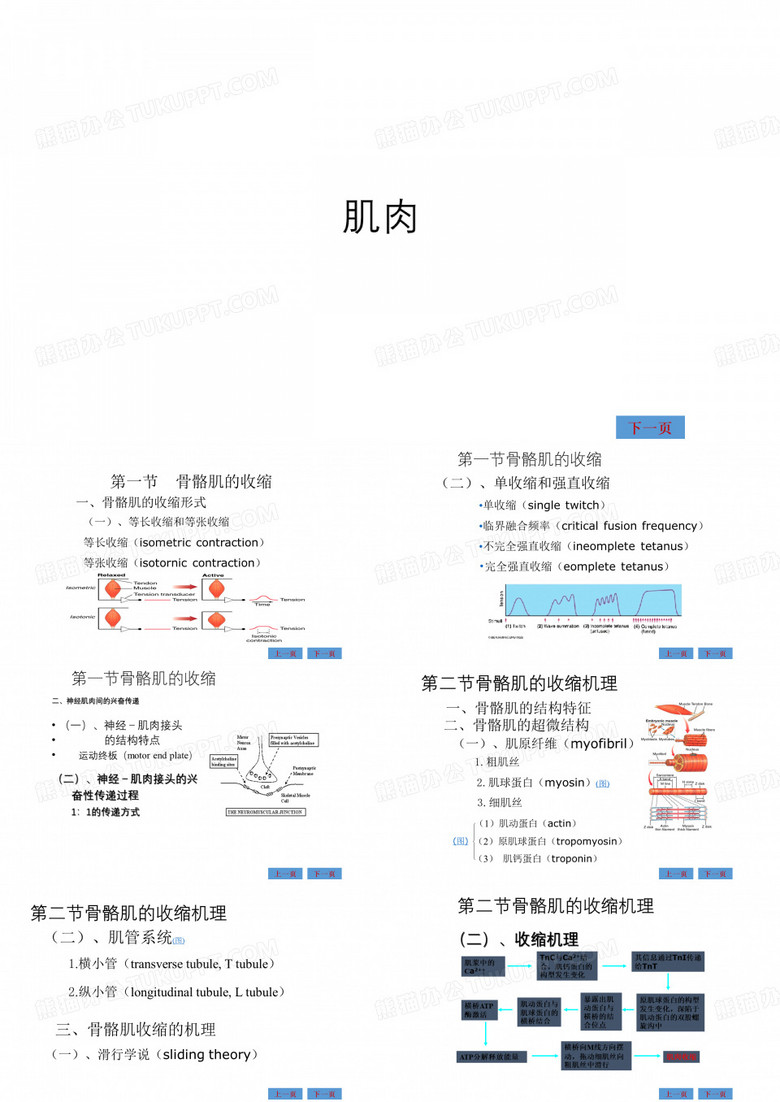 动物生理学课件