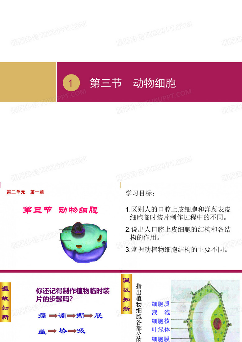 《动物细胞》