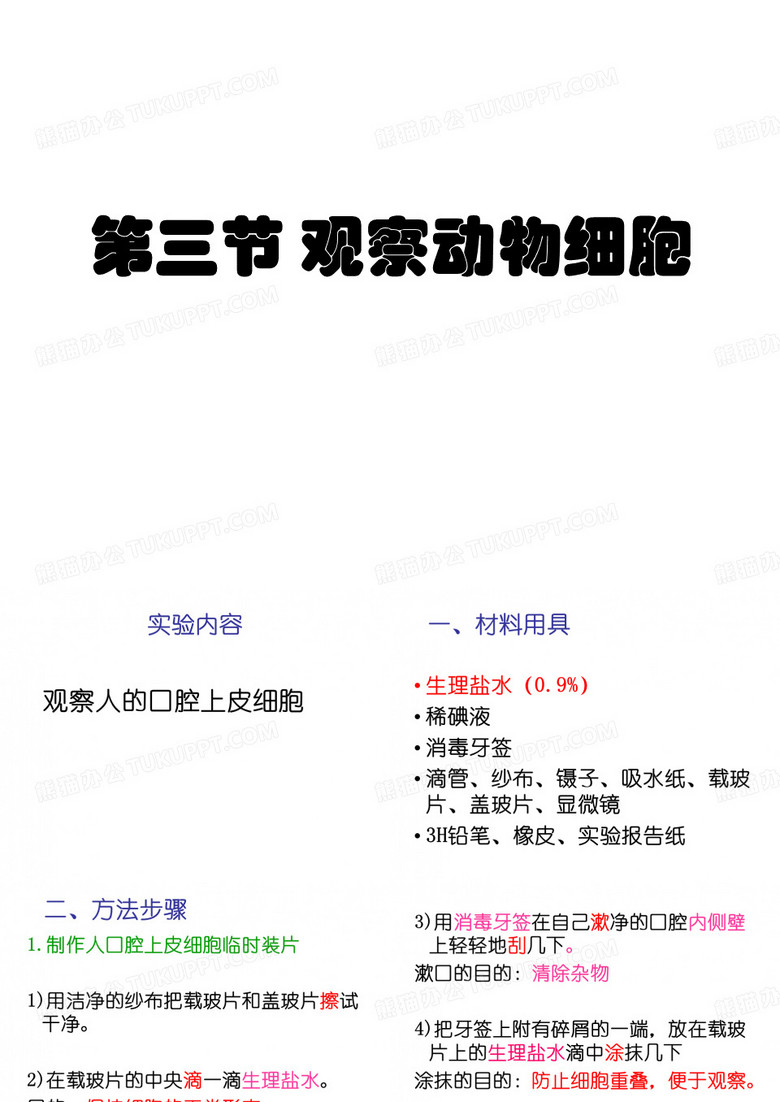 动物细胞