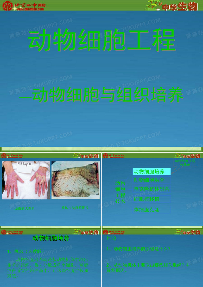 下载 - 动物细胞工程 —动物细胞与组织培养