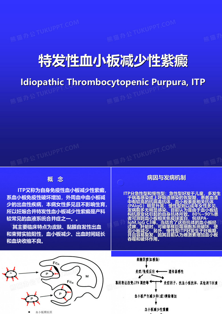 特发性血小板减少性紫癜