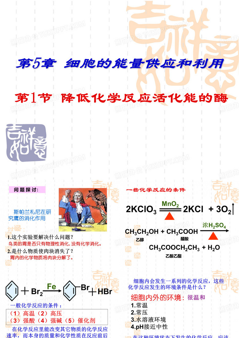 降低化学反应活化能的酶