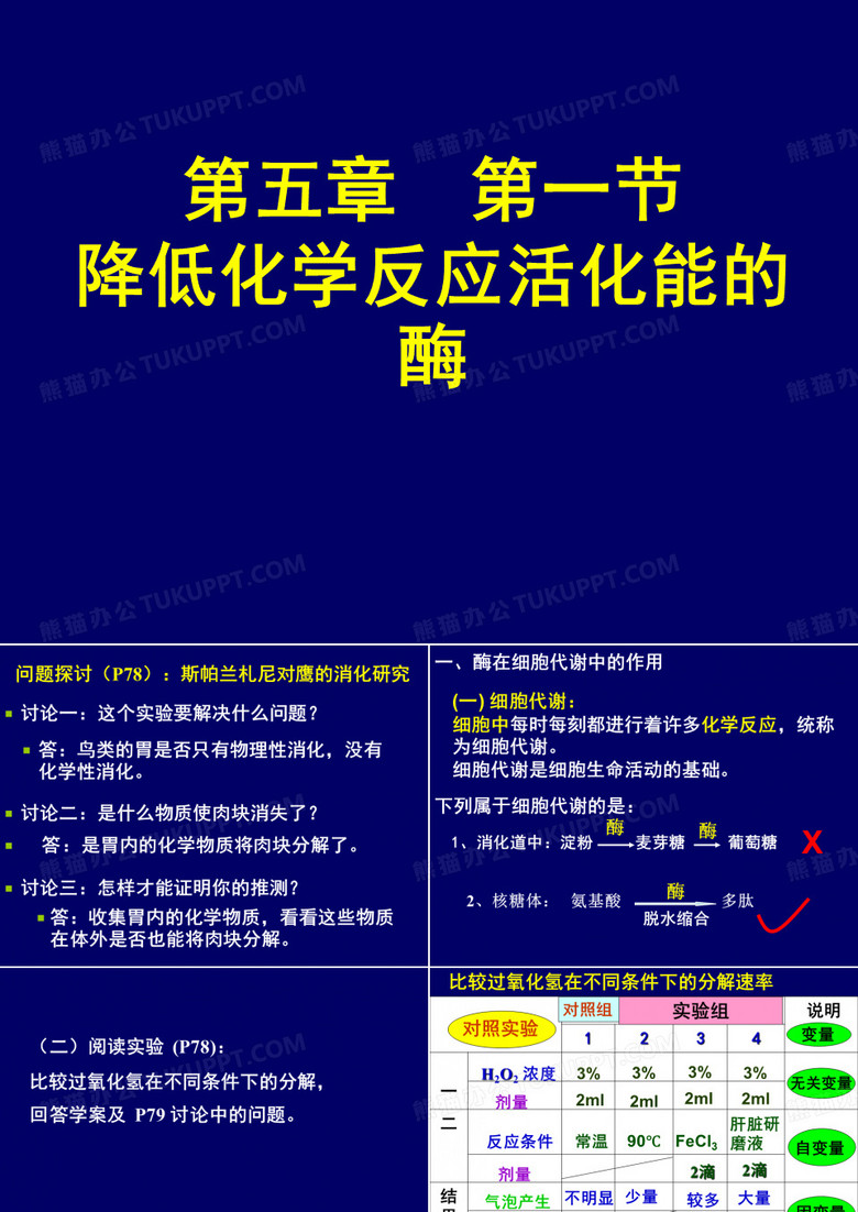 降低化学反应活化能的酶