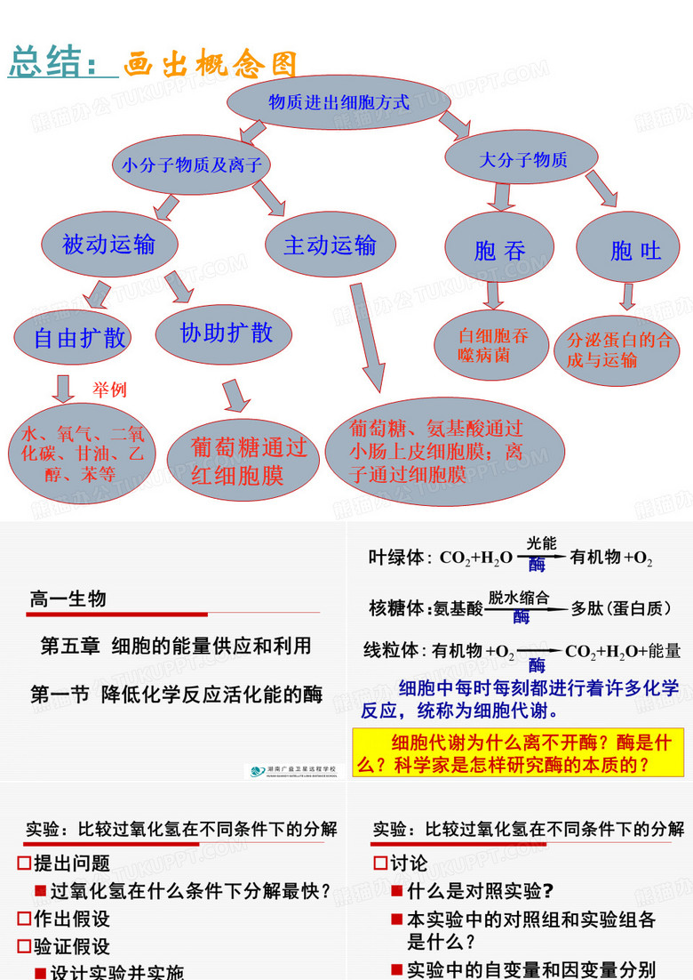 降低化学反应活化能的酶