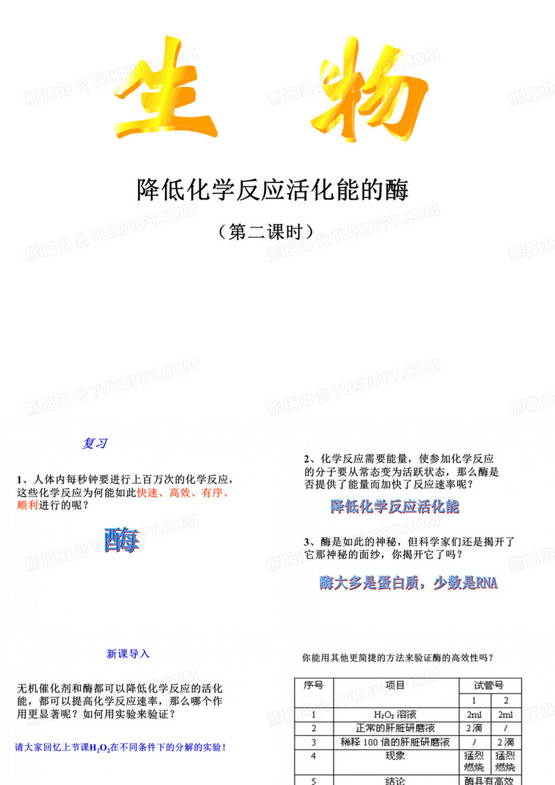 降低化学反应活化能的酶