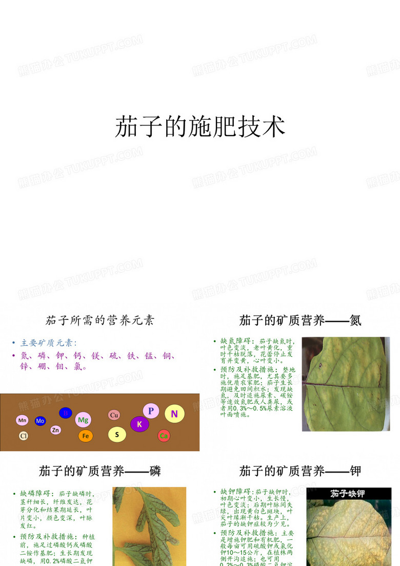 茄子的施肥技术