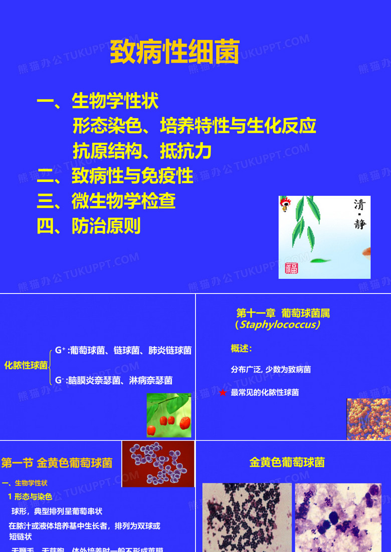 球菌