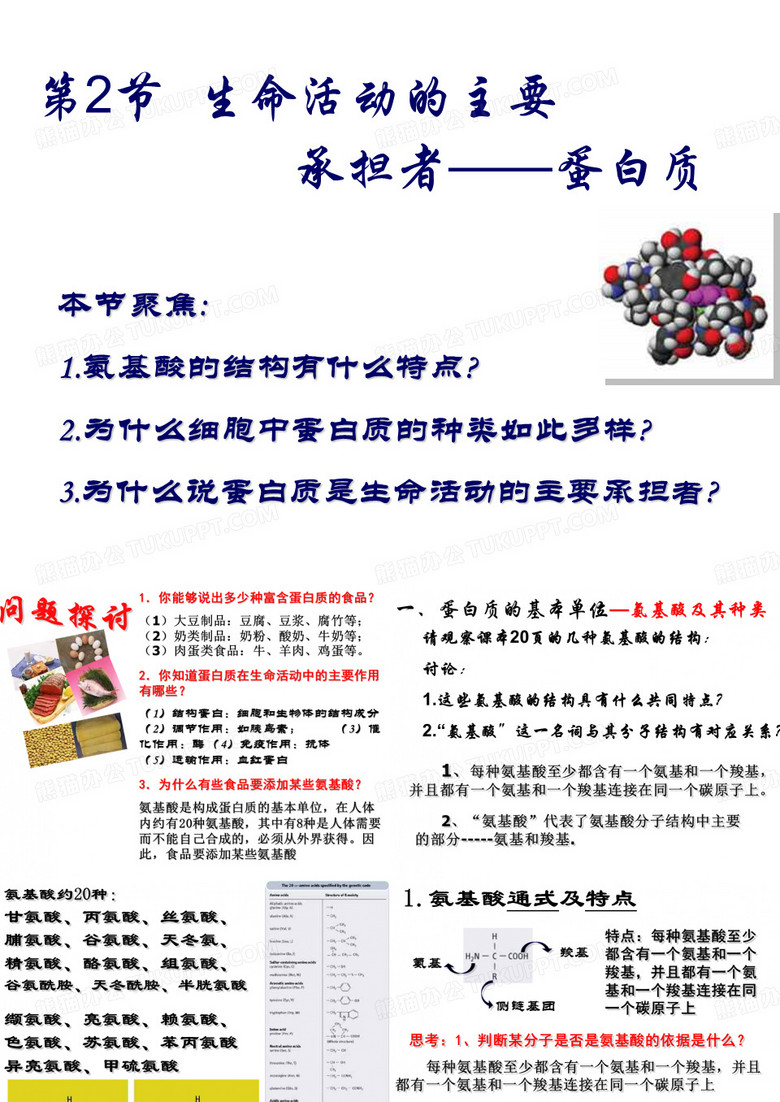 生命活动的主要承担者-蛋白质