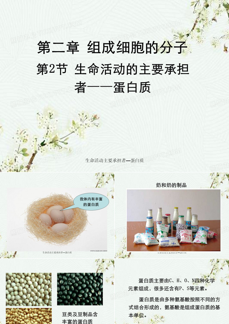 生命活动主要承担者—蛋白质
