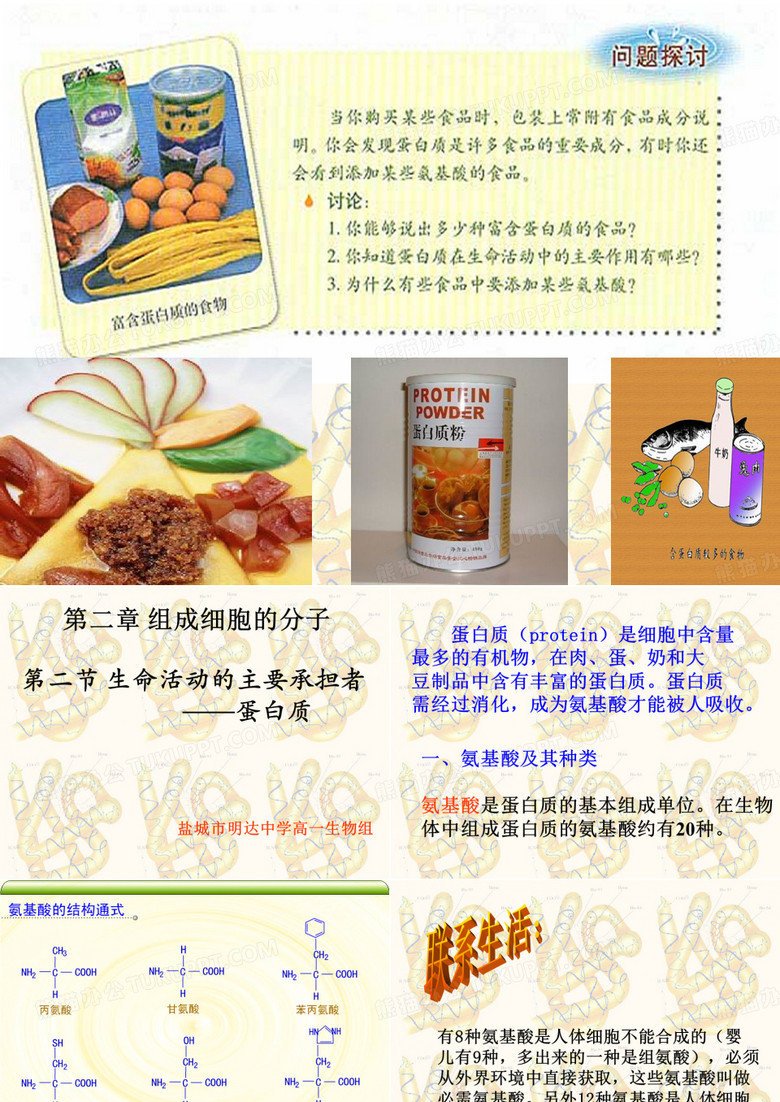 生命活动的主要承担者-蛋白质