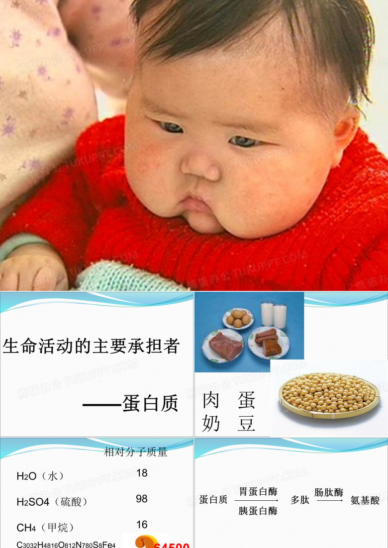 生命活动的主要承担者蛋白质