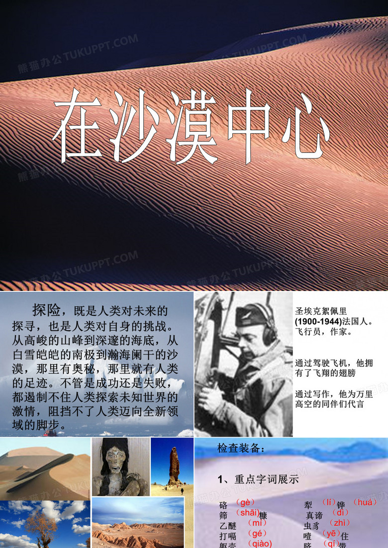 沙漠 中心