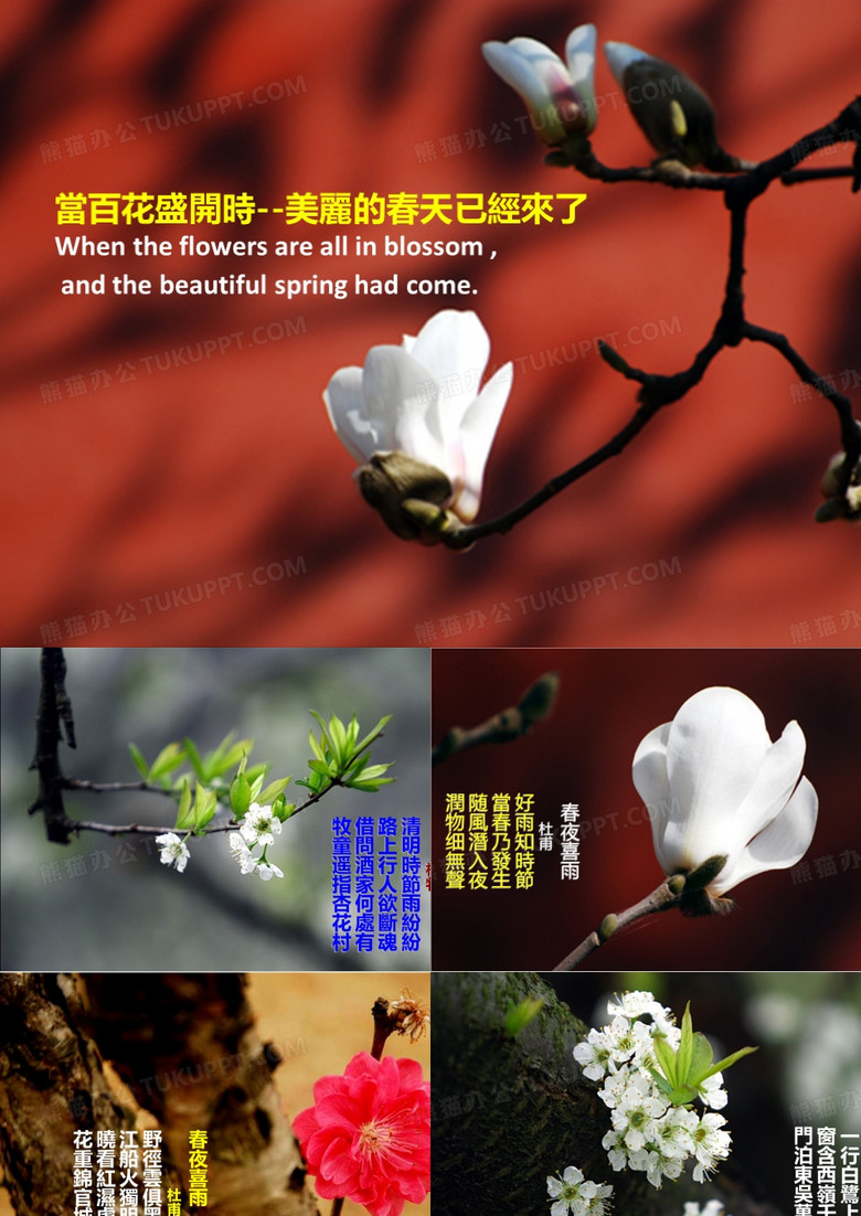 百花盛开
