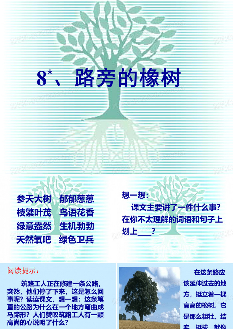 路旁的橡树