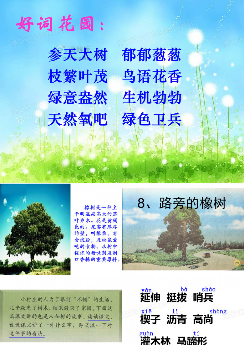 8路旁的橡树